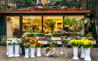 Flower Shop for Sale in Glendale (Asset Sale)