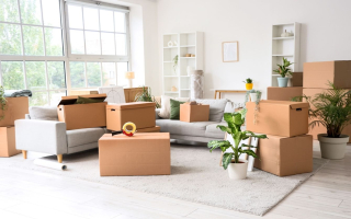 Small but Growing and Profitable Moving Company