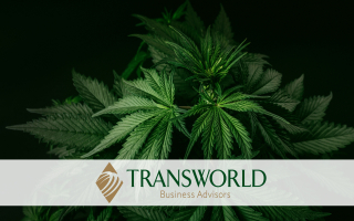 Established THC-A & Hemp Retailer Established THC-A & Hemp Retailer