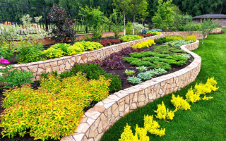 Growing Landscaping, Tree, and Land Services Platform Business 