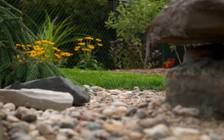 North Shore Adventure Park For Sale