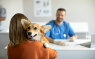 Veterinary Practice & Real Estate on LI