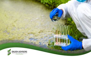 Established Environmental Consulting - Southeast 