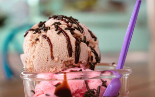 Profitable Frozen Dessert Franchise for Sale in Warner Robins Profitable Frozen Dessert Franchise for Sale in Warner Robins
