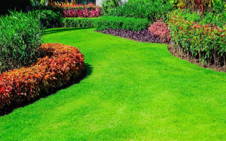Fully Turnkey & Profitable Home Services Lawn Care Fully Turnkey & Profitable Home Services Lawn Care