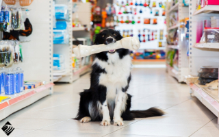 Dog Supply Store; Loyal Customers & Management