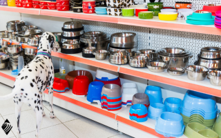 Dog Supply Store; Loyal Customers & Management