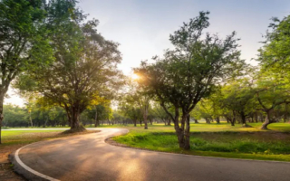 Profitable Landscaping and Snow Management Company