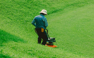 Semi Absentee Established Lawn Care Service
