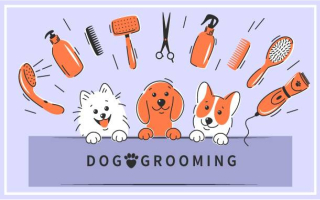 Highly Rated Pet Grooming Business for Sale