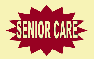 In-Home Senior Care, Appraised Price, Lender Ready