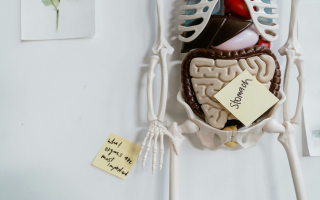 2 Medical Practices - Outpatient Surgery Center and GI Practice with $2M+ Earnings – Built for Expansion