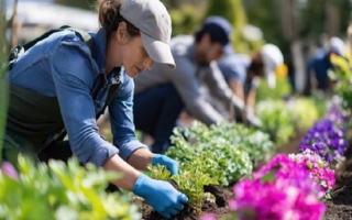 Turnkey Plantscape Maintenance & Design