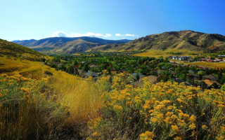 Chiropractic Practice for Sale in Denver, CO Area