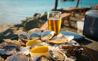 Profitable Bar and Grill for Sale Netting $380,000. SBA lending