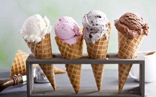 Profitable Ice Cream and Food Shop
