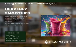 Heavenly Smoothie Business Opportunity – Houston