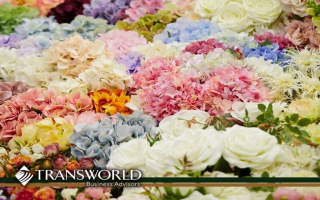 Established Flower Shop and Online Florist 