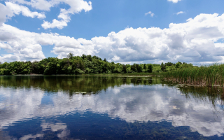 Chiropractic Practice for Sale Kenosha County WI