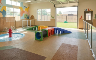 Established Luxury Pet Boarding & Daycare 