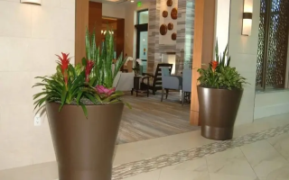Profitable Interior Plantscape Business Profitable Interior Plantscape Business