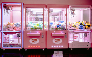 Profitable Claw Machine Arcade