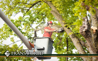 Turnkey Tree Service Franchise – Sarasota/Manatee