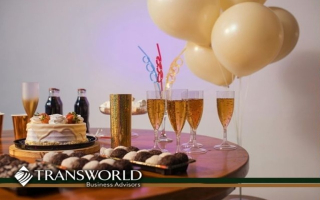 Huge Assemblage of Party Supplies/Equip- ASSETSALE