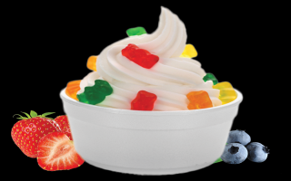 Non-Franchise Frozen Yogurt Shop NO Competition Non-Franchise Frozen Yogurt Shop NO Competition