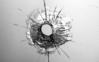 Established Auto Glass & Calibration Business