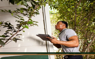 Established Property Inspection Company Established Property Inspection Company