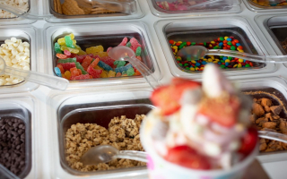 Two Profitable Yogurt Shops for sale