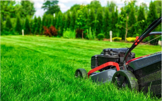 Profitable Lawn Service: Loyal Clients & Trusted 