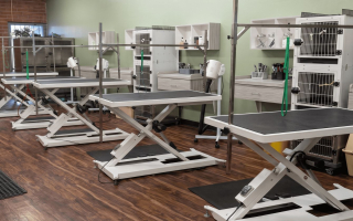 Semi-Absentee Pet Grooming Spa with 30-Year Track Record