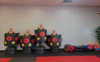 Martial Arts School for Sale-North Ft. Worth TX