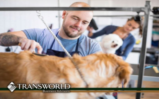 Turnkey Profitable Dog Groomer