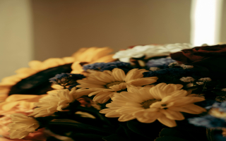 Top-Rated Florist in Central Connecticut