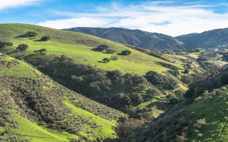 Chiropractic Practice for Sale Monterey County, CA