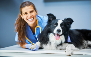 Veterinary Practice with Decades of Excellence