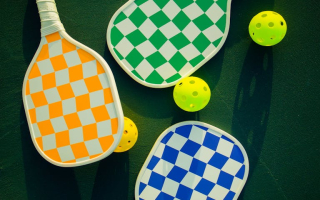 High-Growth MI Indoor Pickleball Club Opportunity
