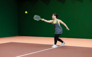 Premier Climate-Controlled Indoor Pickleball Compl