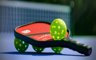 MD High-Growth Indoor Pickleball Club Opportunity