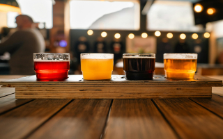 Profitable Ski Town and Microbrewery Restaurant Real Estate for Sale