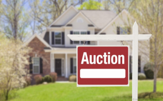 Established Auction & Liquidation Business