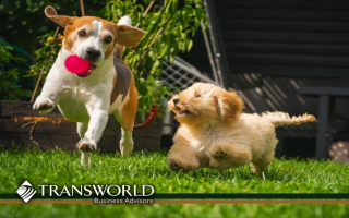 Pet Fencing Dealership – Established Territory