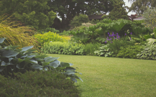 Profitable St. Louis Area Lawn & Landscape Profitable St. Louis Area Lawn & Landscape