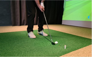 Indoor Golf Facility, High Growth, Low Overhead 