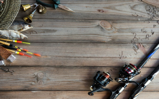 Established Twin Cities Metro Bait & Tackle Retailer with E-Commerce Growth 59034