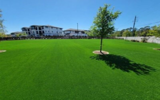 Purchase Green Artificial Turf