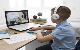 Online Education K-12 Business